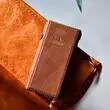 Портативный плеер  Shanling M5s Leather Case Brown