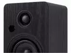 Активная акустическая система Premiera RS-301A Blaсk