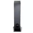 Напольная акустика Focal Chora 816 Black