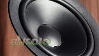 Полочная акустика Dynaudio Evoke 20 Walnut