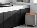 Сабвуфер Ruark Audio RS1 Sub Walnut