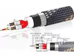 Сетевой кабель Xindak FP-Gold Power Cable