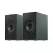 Активная акустика KEF Coda W Moss Green