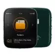 Портативный плеер Shanling Q1 Forest Green