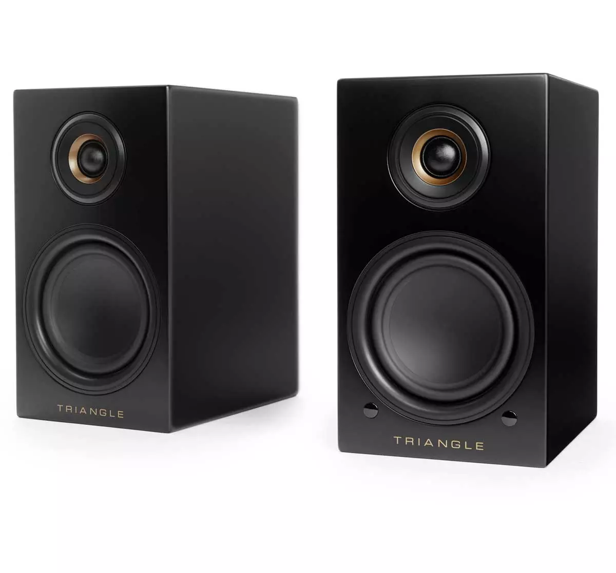 Активная акустика Triangle ELARA LN01A Black