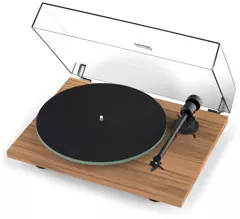 PJ T1 walnut 240