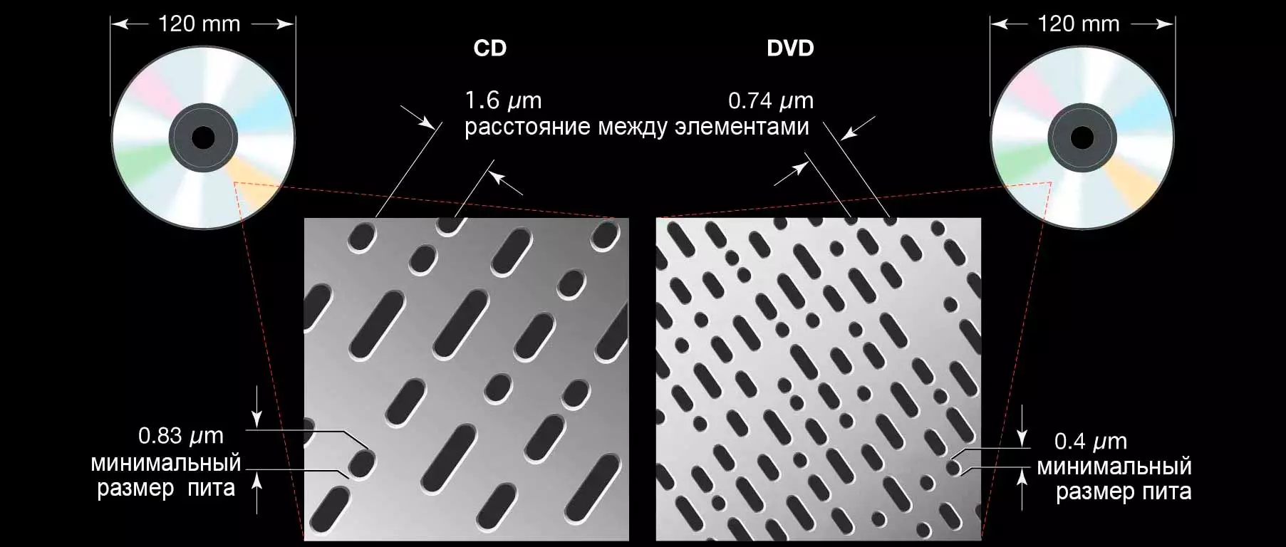 Главная